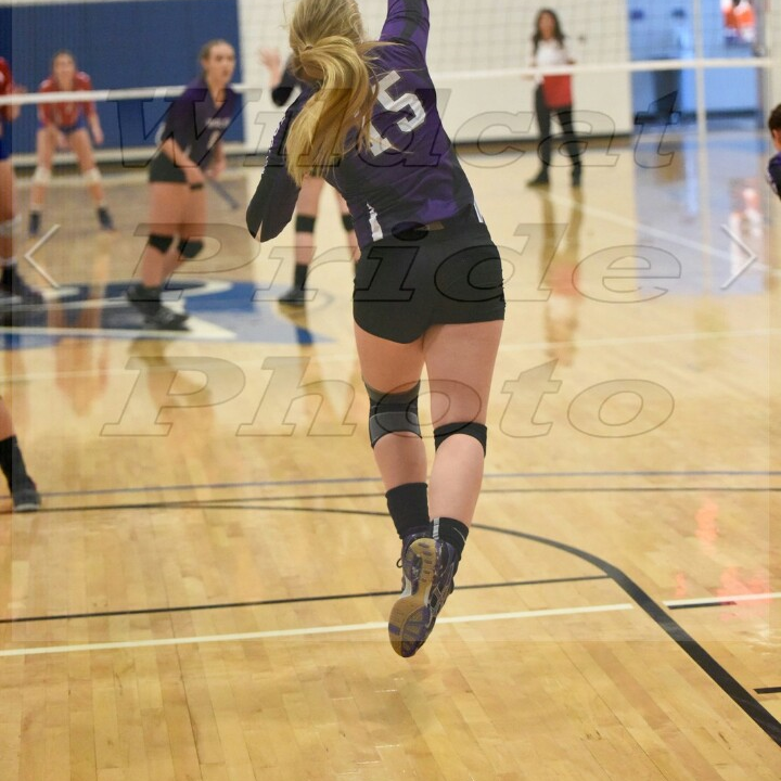 Jaci Sharpe