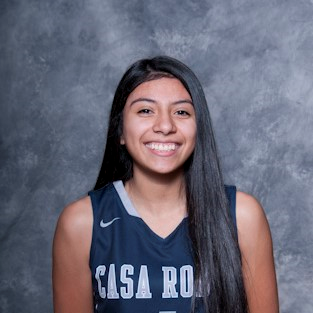 Siana Robles mugshot