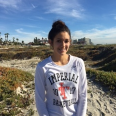 Andrea Olguin mugshot
