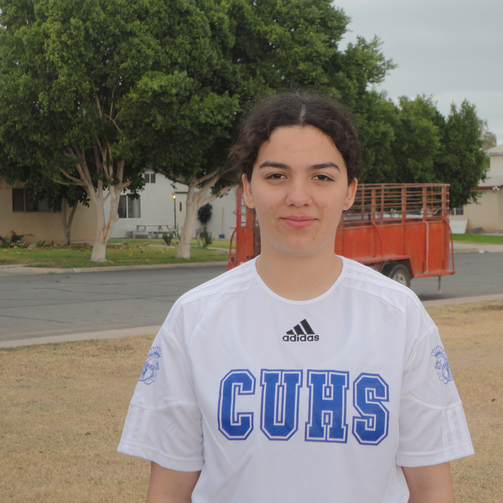 Alondra Tellez mugshot