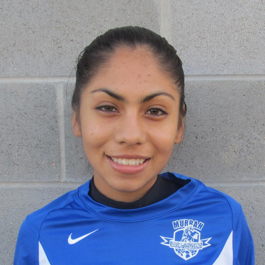 Jeimy Viveros mugshot