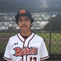 Luis Chavarin mugshot