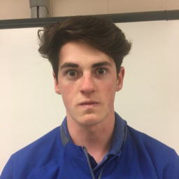Colton Hipp mugshot