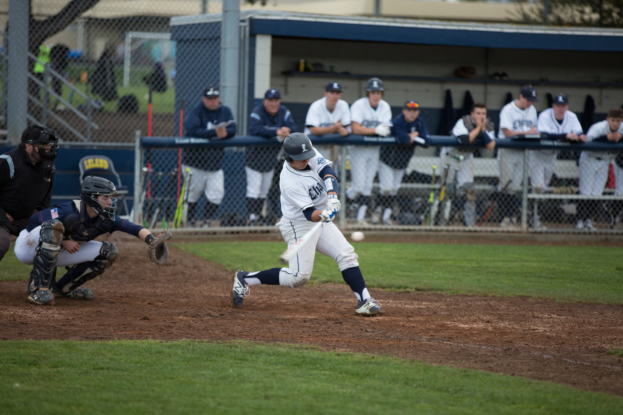 Albert Hsiao mugshot