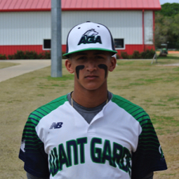 Elvin Hernandez mugshot