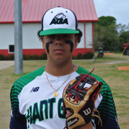 Hamilton Martinez