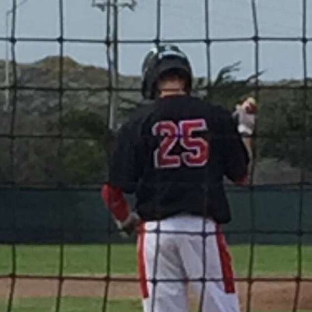 Dalton Rainaud