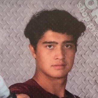 Seth Hoffman mugshot