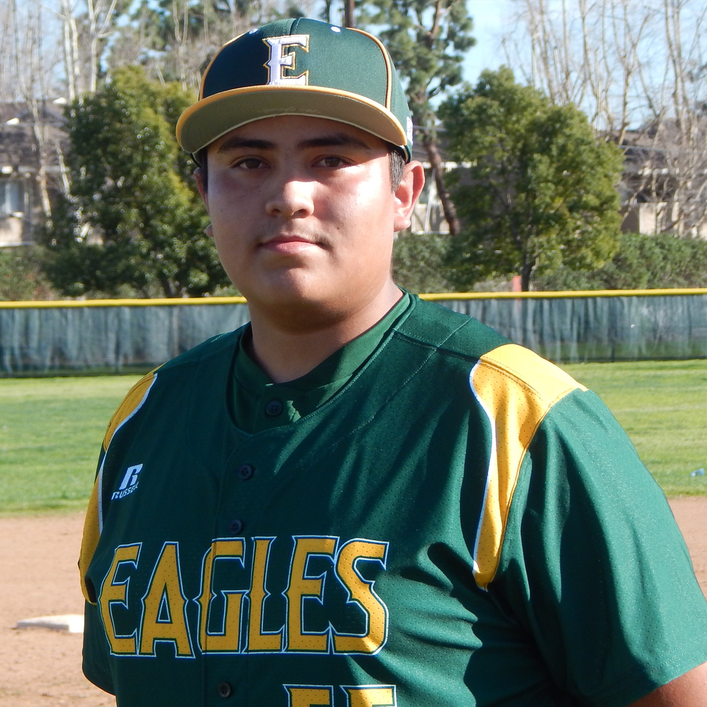 ANGEL VILLELA mugshot