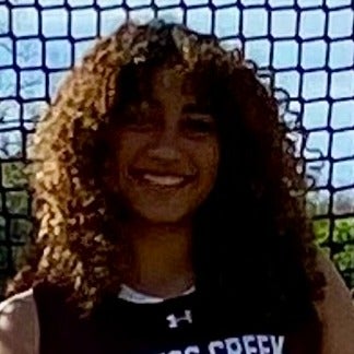 Jaritza Quinones mugshot