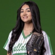 Analisa Sedillo mugshot