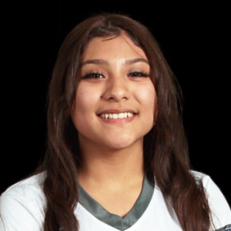 Yoselin  Valdes mugshot