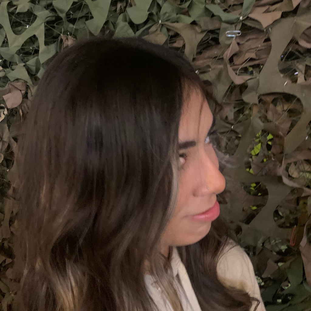 Ariella  Audelo mugshot