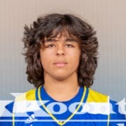 Dominic Vallone mugshot