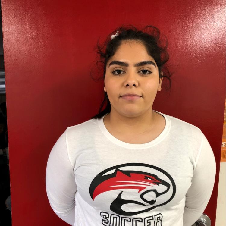 Sinai Flores mugshot