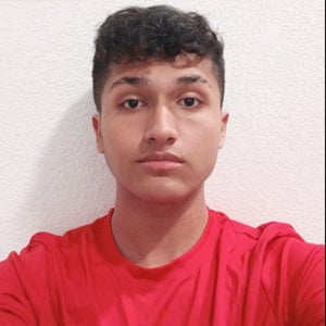 Gabriel  Vargas  mugshot