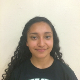 Marialena Villa mugshot