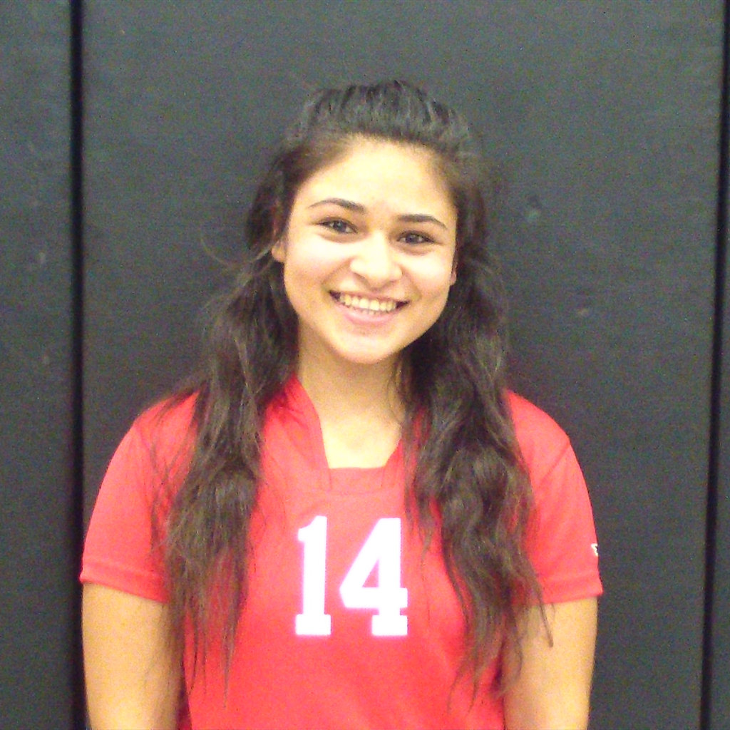 Isabel Mendoza mugshot