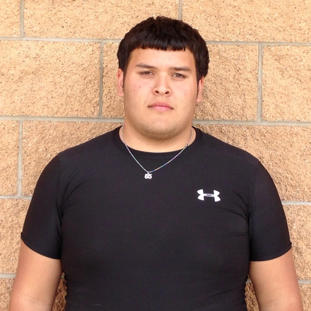 Joseph Villarreal mugshot