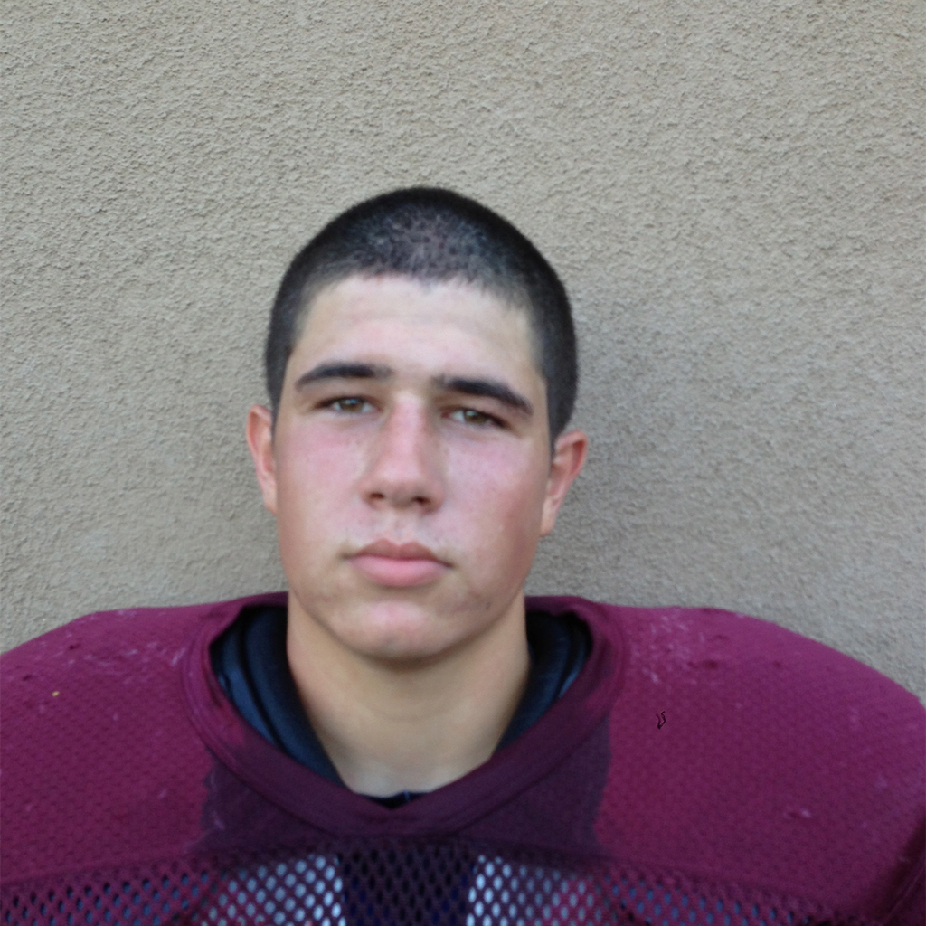 Josh Ferkins mugshot