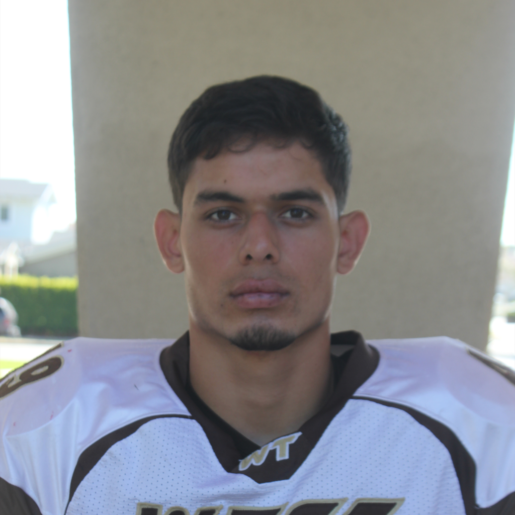 Melvin Guerrero mugshot