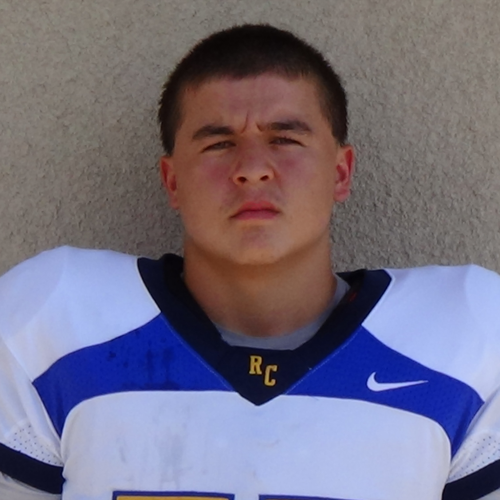 Nick Demenezes mugshot
