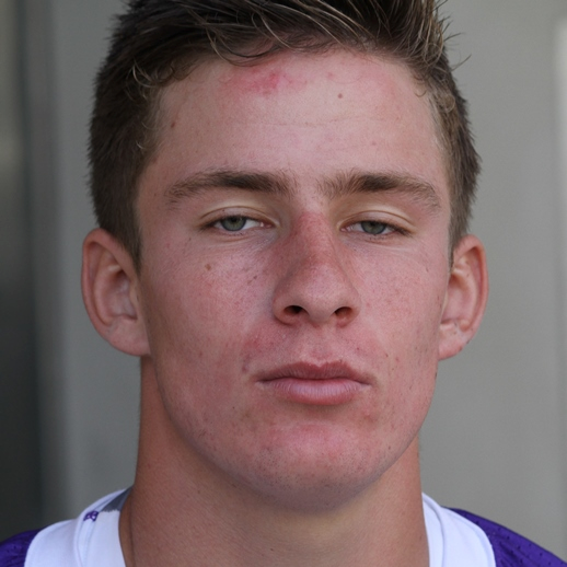 Bradley Hamel mugshot