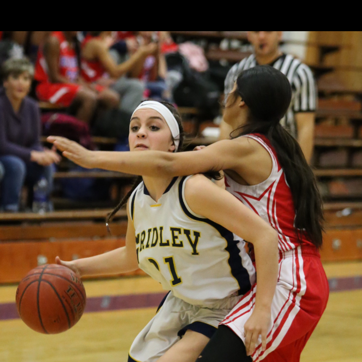 Ally Mardesich