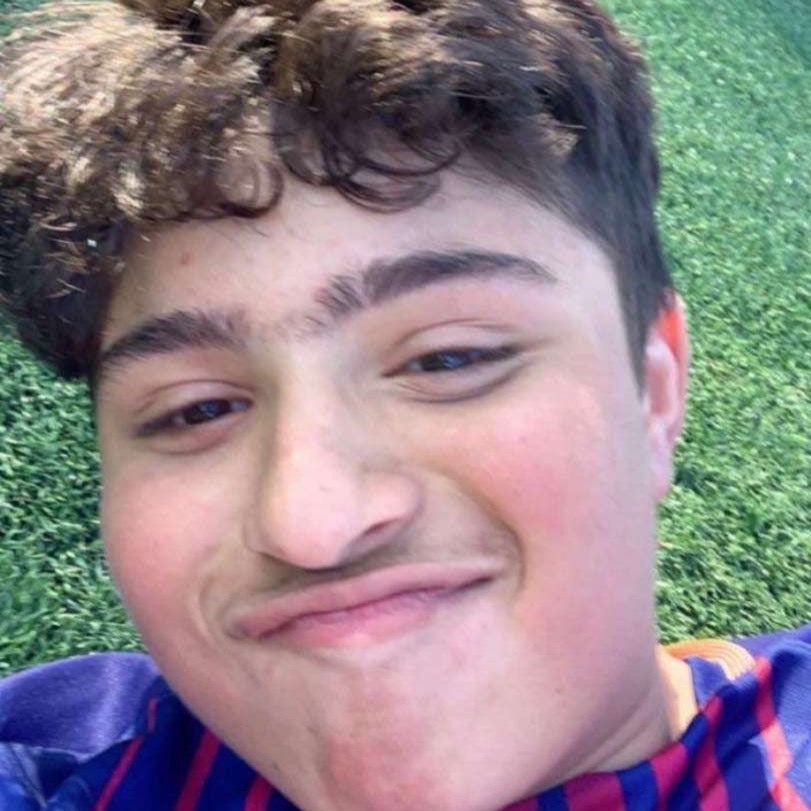 Mahmoud Almashadani mugshot