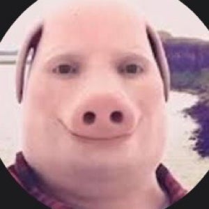 Andrew Estrada mugshot