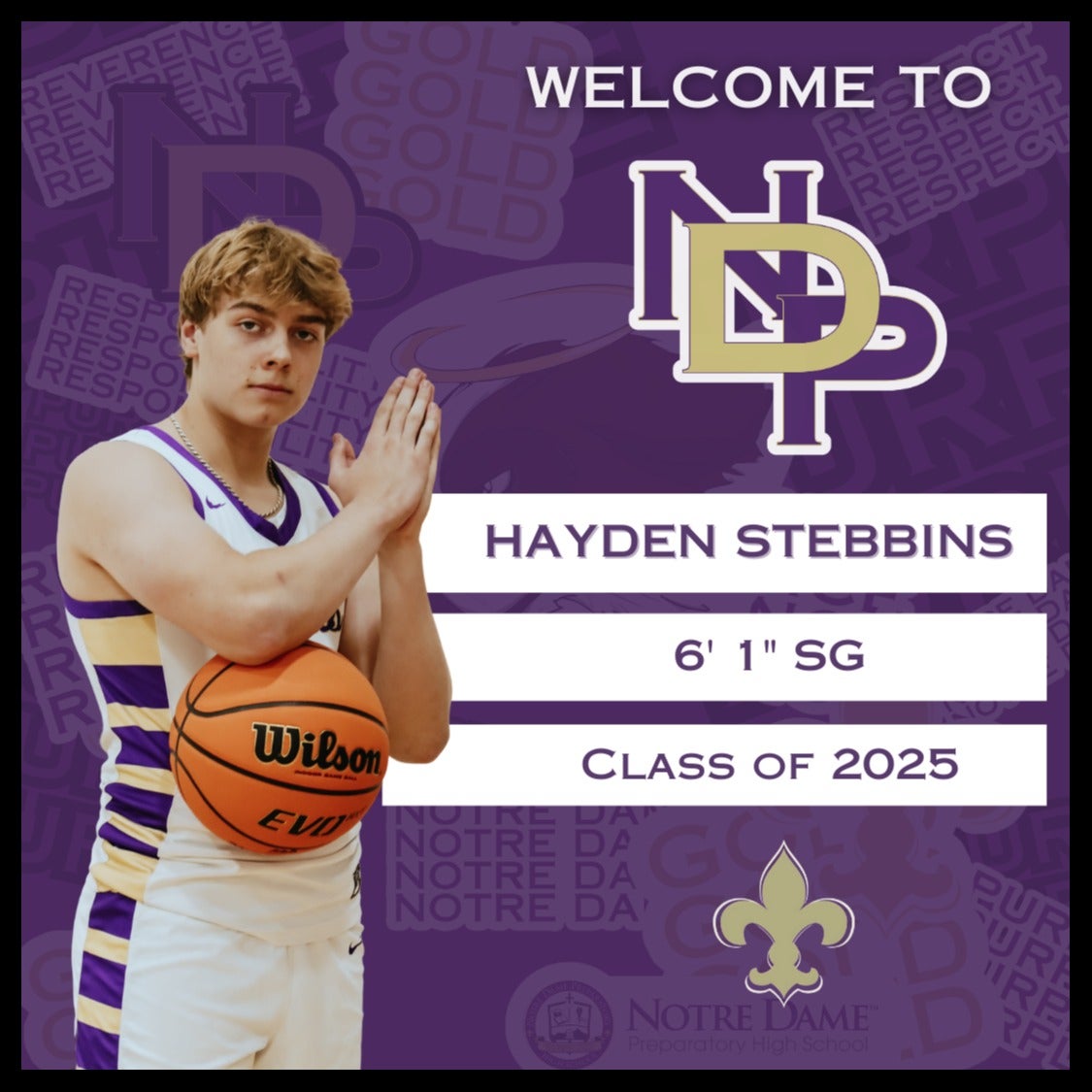 Hayden Stebbins mugshot