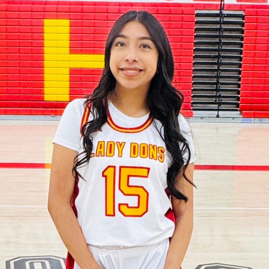 JOSELYN LUIS mugshot