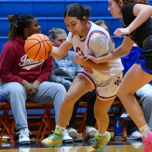 Enedina Viens mugshot