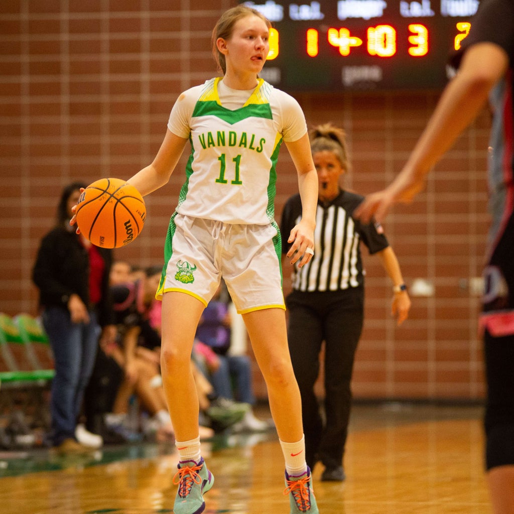 Melissa Johnson mugshot