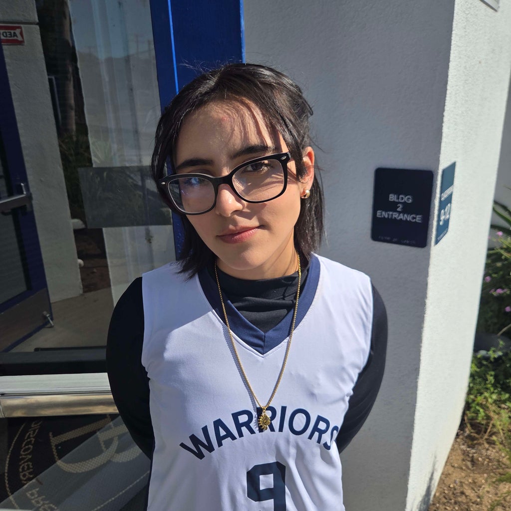 Andrea Iribe mugshot