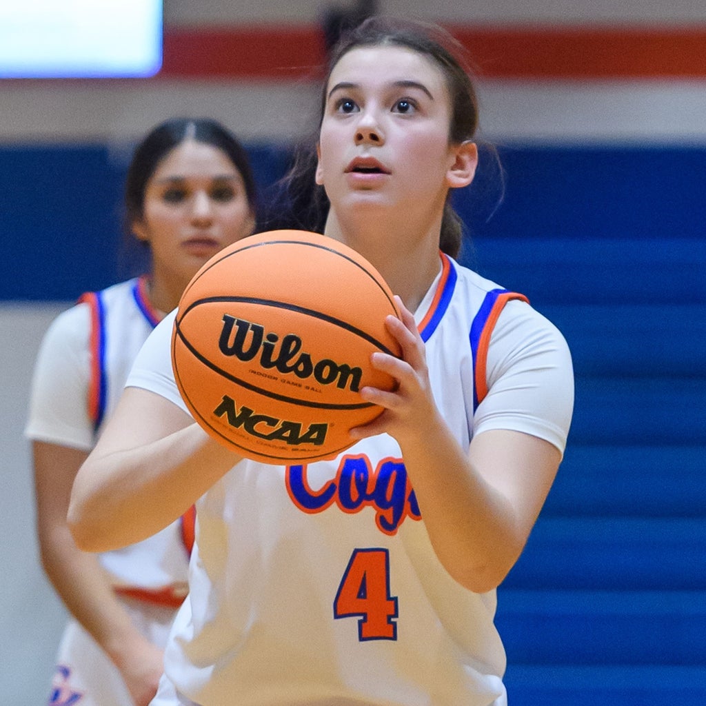 Annalynn Gudeman mugshot