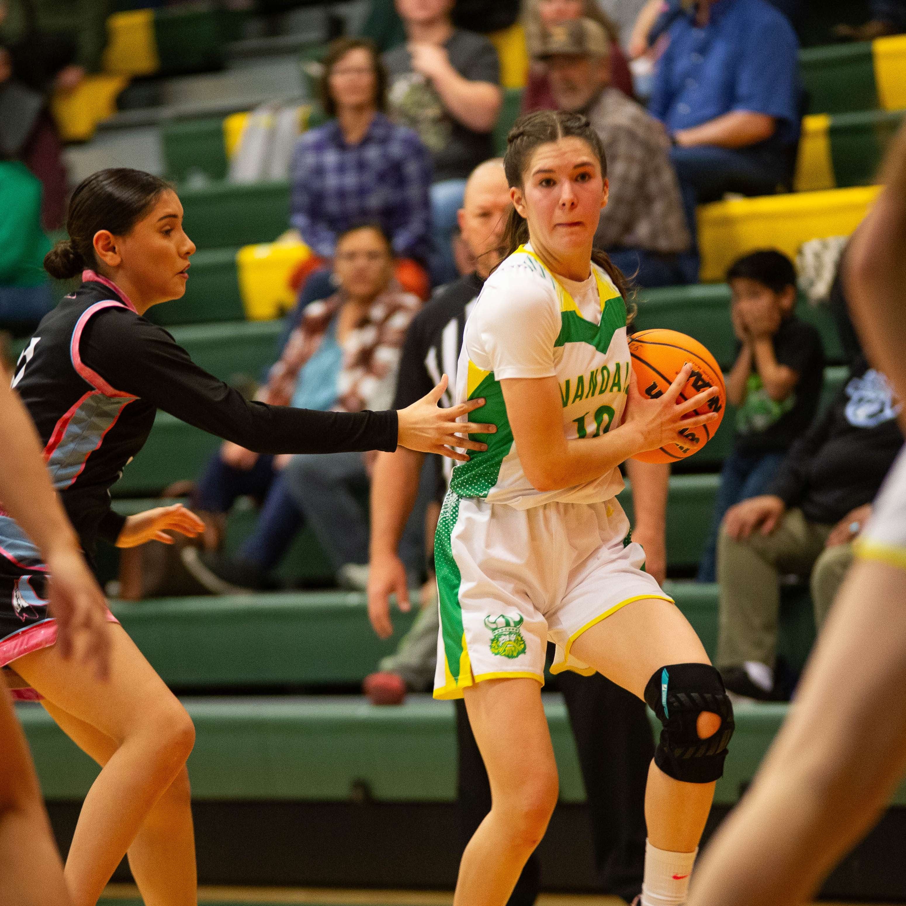 Annie Tibbitts mugshot