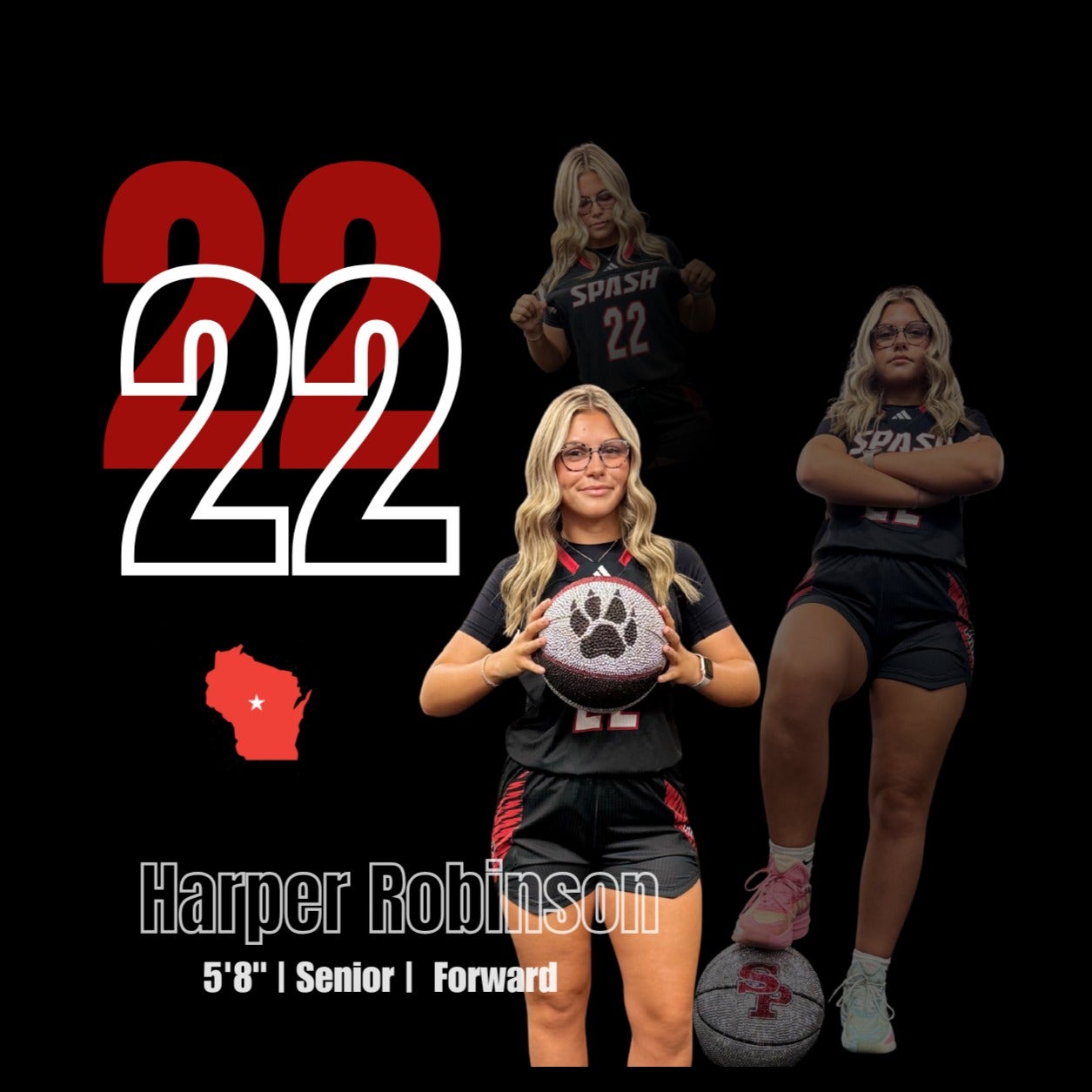 Harper Robinson mugshot