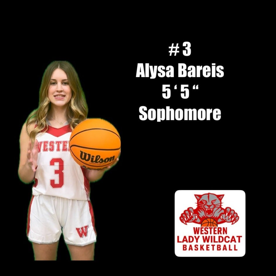Alysa Bareis mugshot