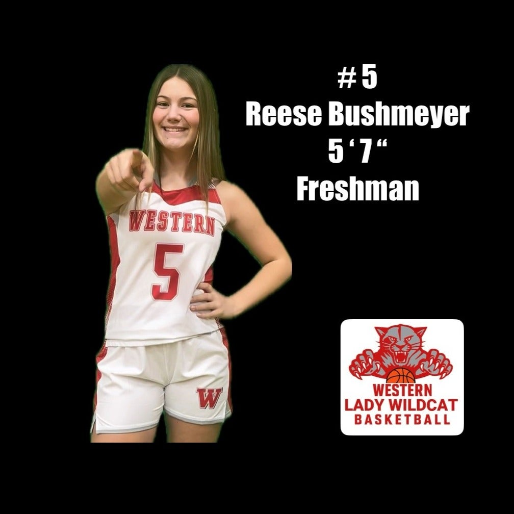 Reese Bushmeyer mugshot