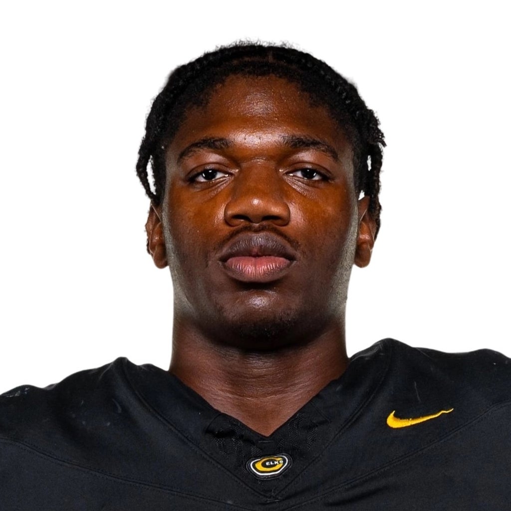 Chidubem Chukwu mugshot