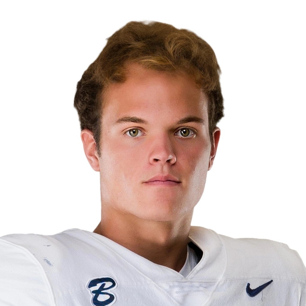 Gray Bunting mugshot