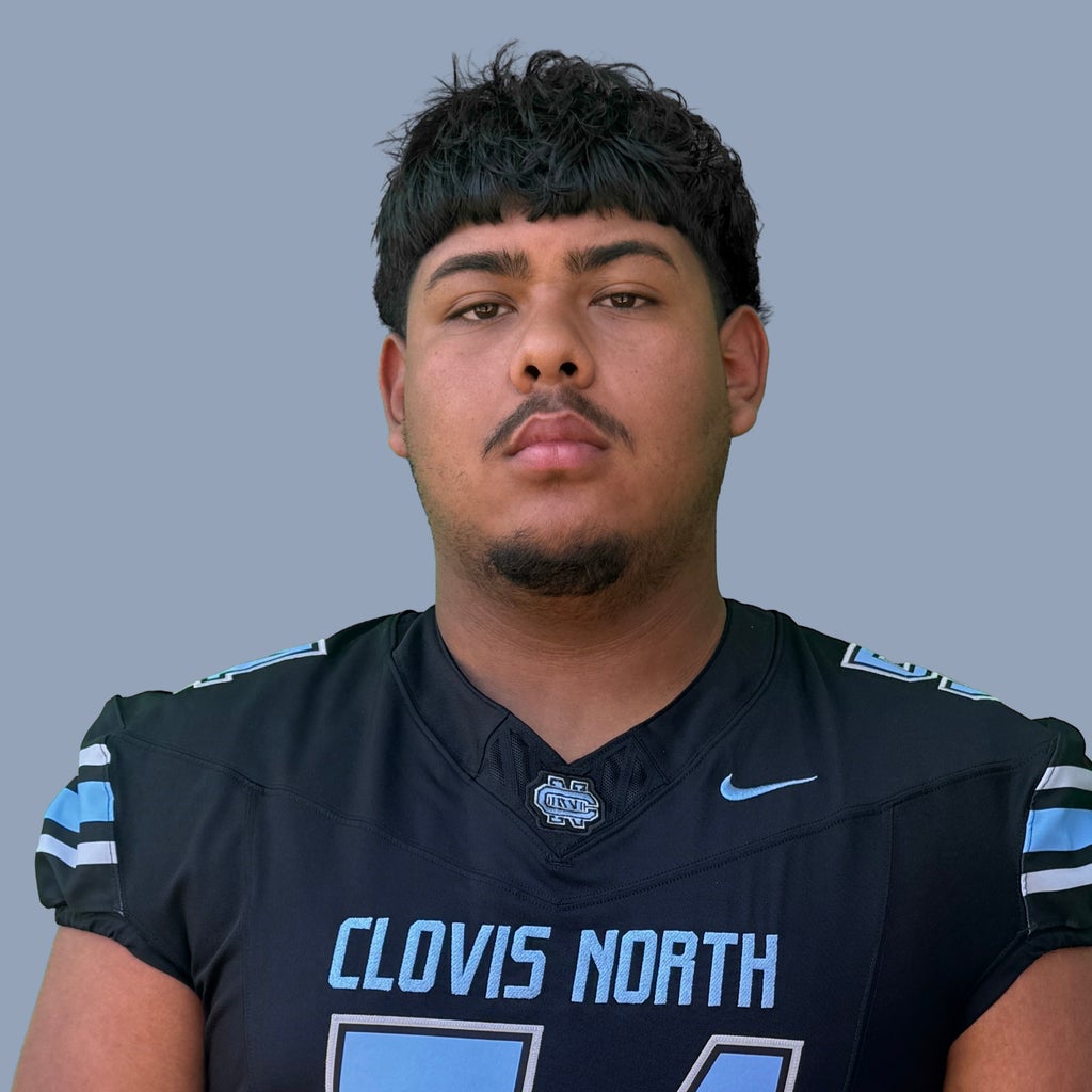 ALEXIS VIRGEN mugshot