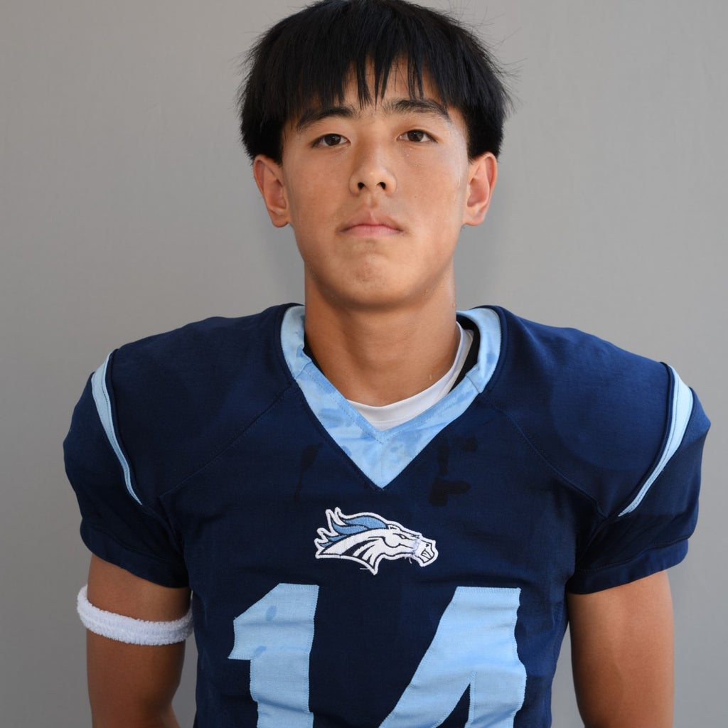 Hannes Lee mugshot