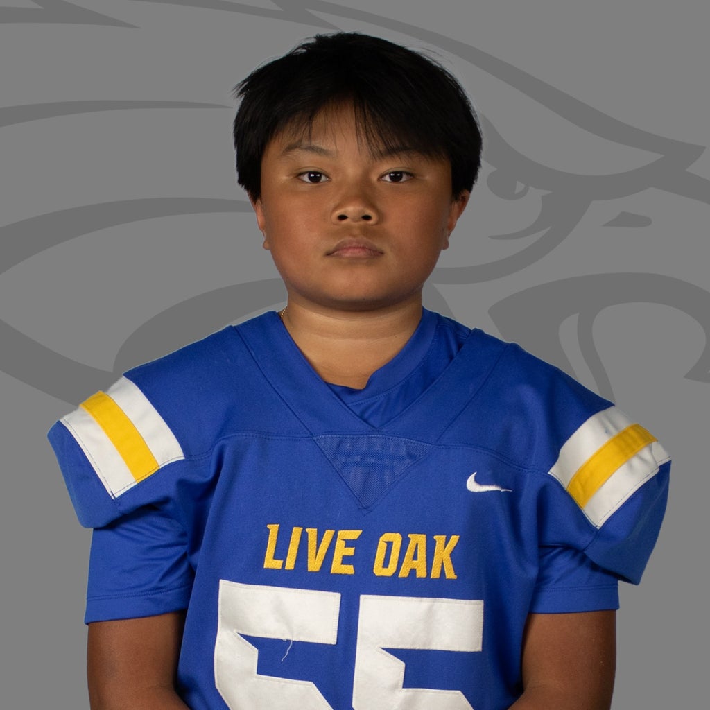 Vincent Nguyen mugshot