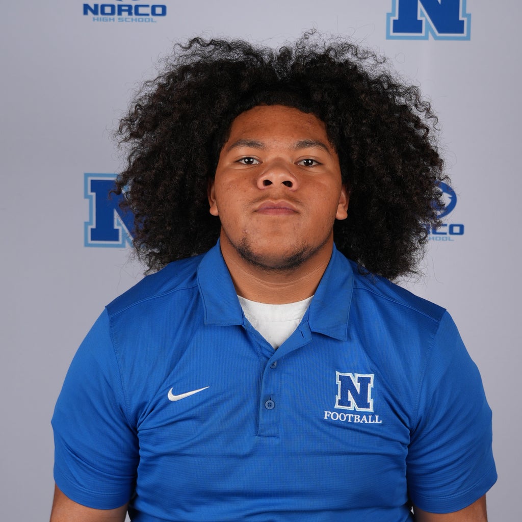 Taniela Fineanganofo mugshot