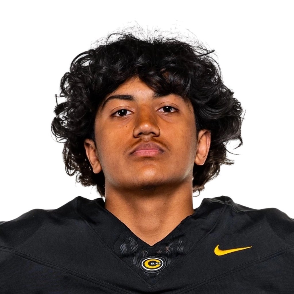 Ronit Gulati mugshot