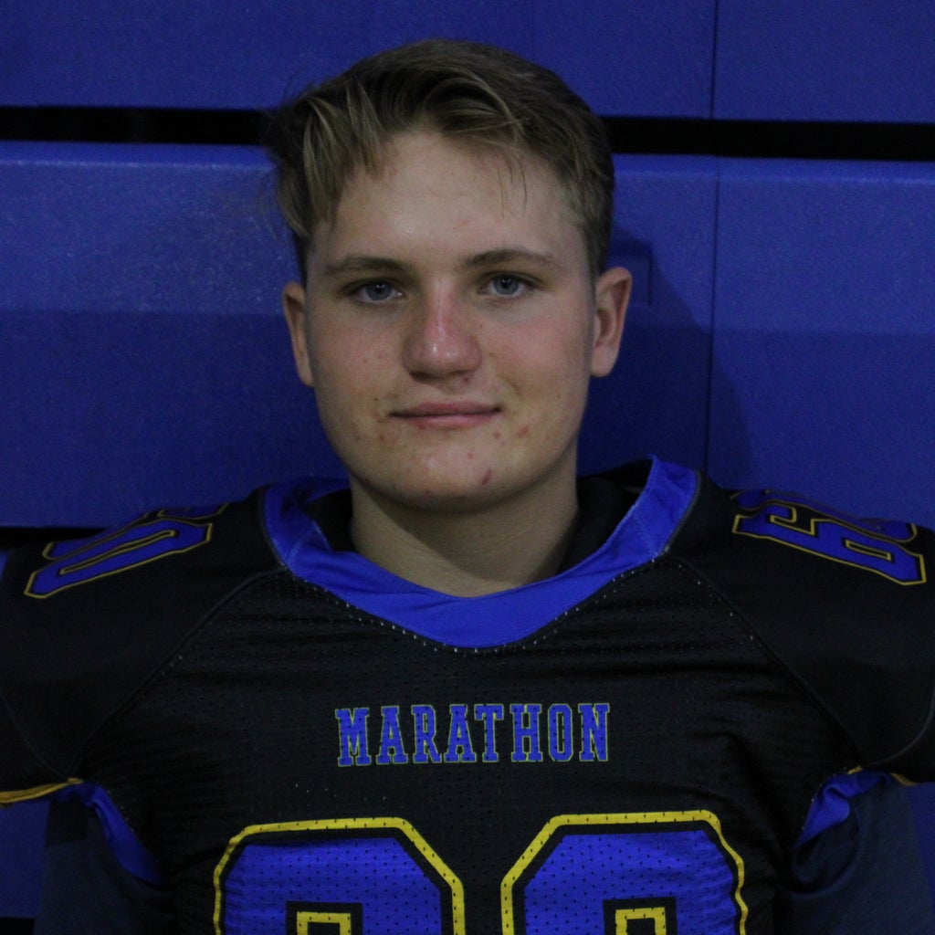 Brinton Johnson mugshot