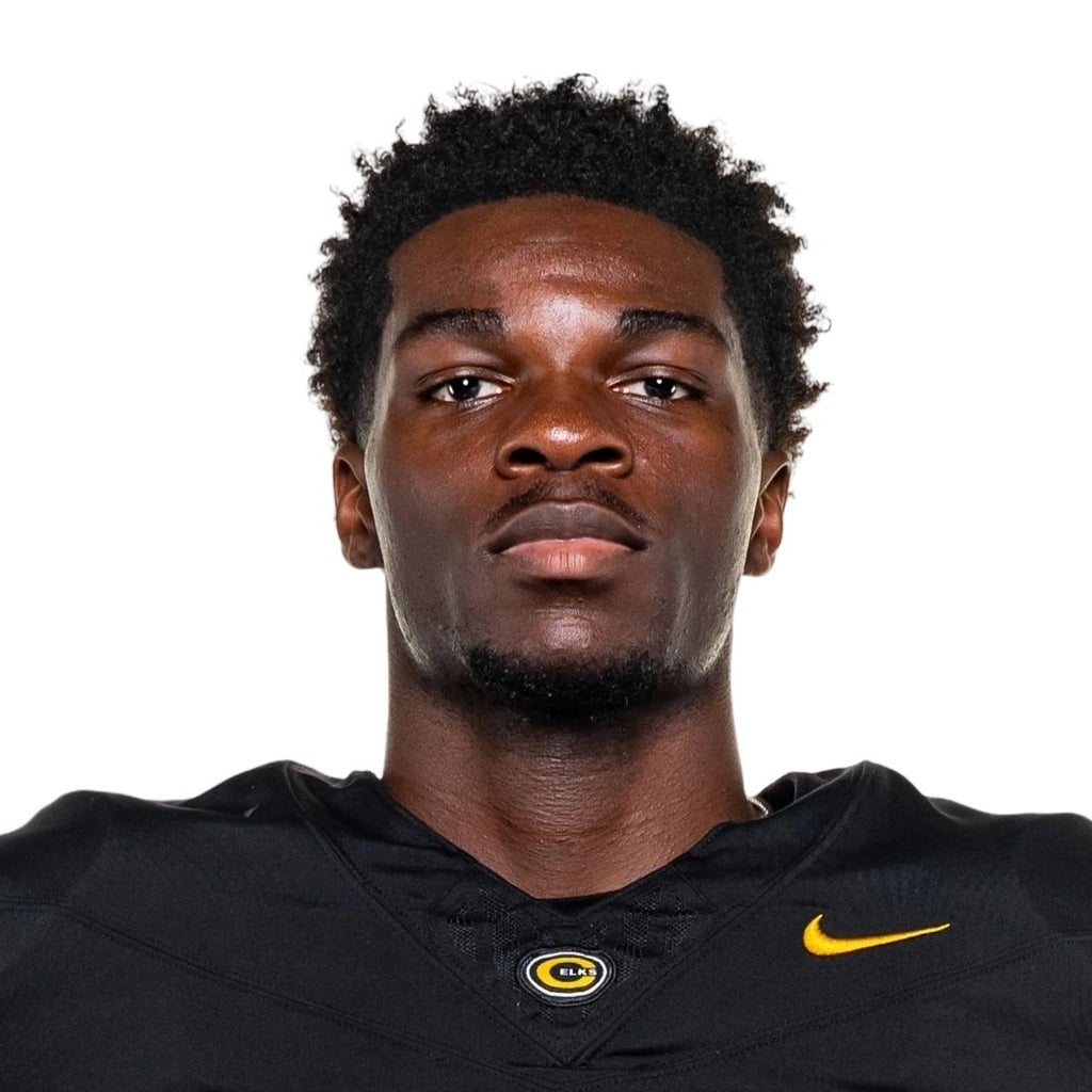 Ziere Alston mugshot