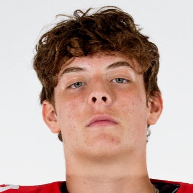 Alex Van Helmond mugshot